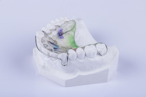 Custom Hawley Retainer To Straighten Teeth Dental Hawley Retainer FDA Approval