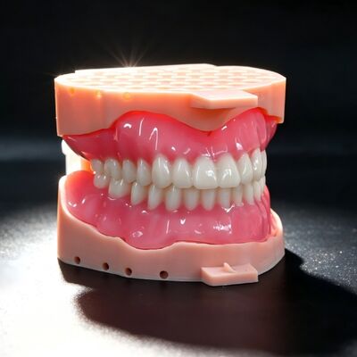 Buy Lucitone 199 Full Denture Light Pink Full Removable Dentures online manufacture