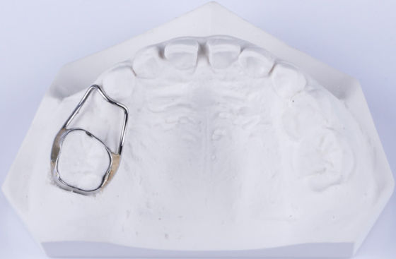Customizable Dental Space Retainer For Teeth Retainer To Fix Gap